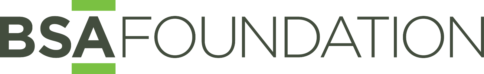 BSAFoundation1.png
